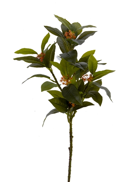 Picture of 30" SARACA BRANCH