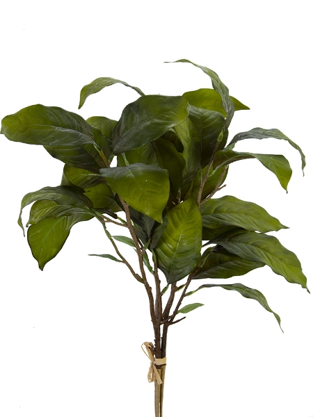 Picture of 23" LEMON LEAF BUNDLE