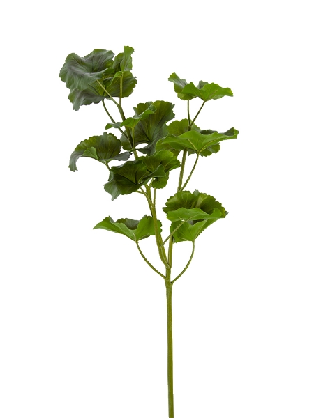 Picture of 31" GERANIUM LEAF SPRAY