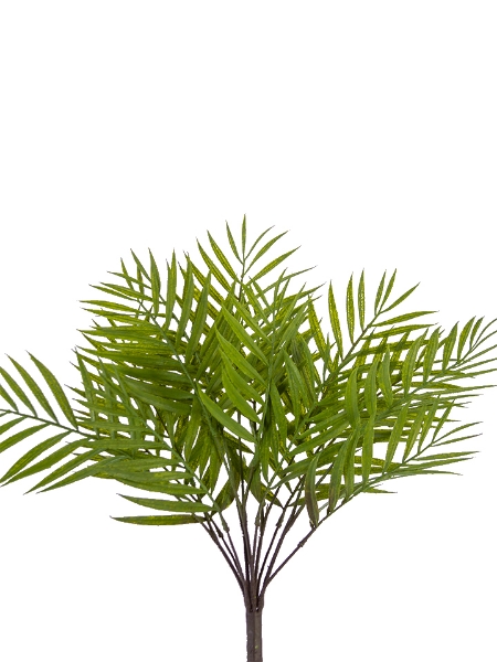 Picture of 19" PALM BUSH