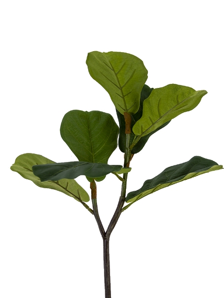 Picture of 24" FIDDLE LEAF SPRAY