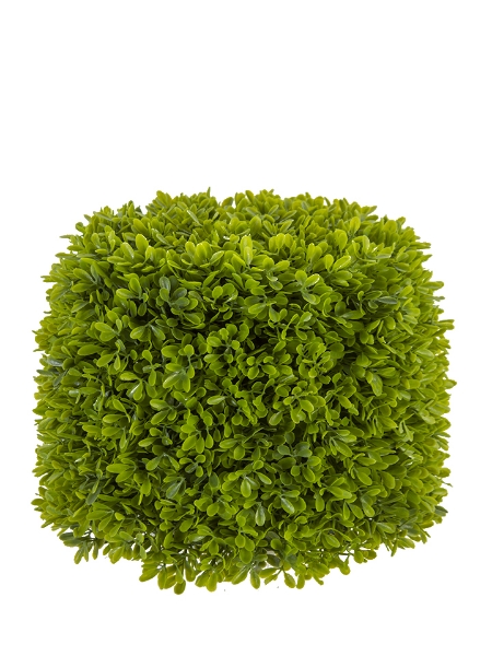 Picture of 8" BOXWOOD CYLINDER