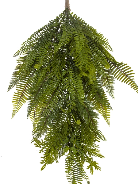 Picture of 36" VARIGATED FERN TEAR DROP