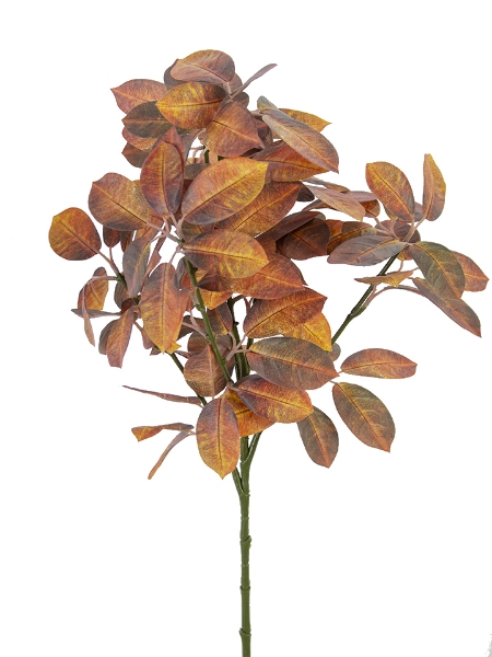 Picture of 27" FALL FICUS SPRAY