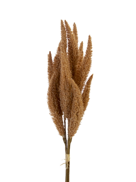 Picture of 26'' FOXTAIL BUNDLES