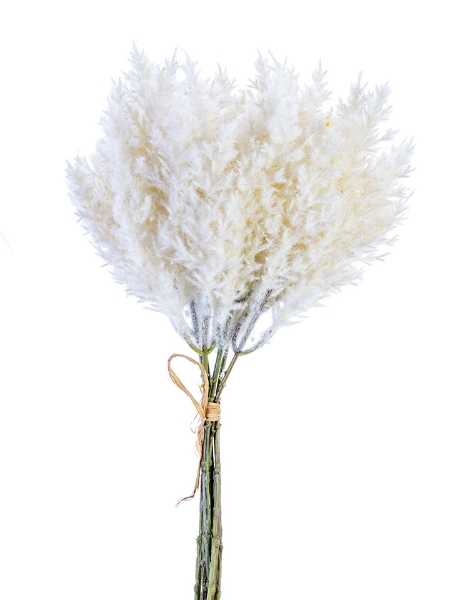 Picture of 16" PAMPAS BUNDLE