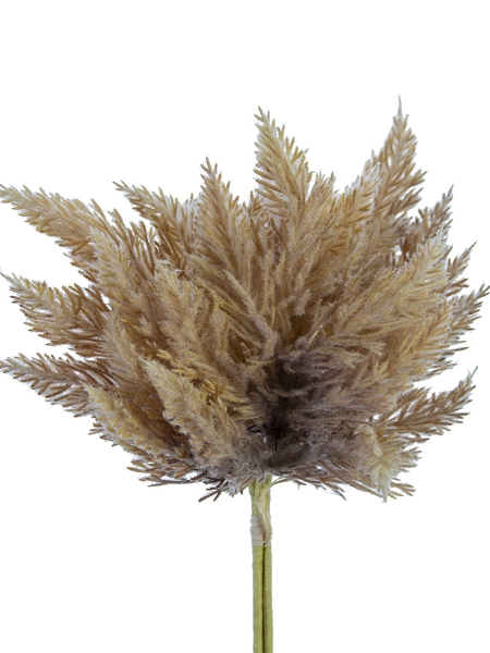 Picture of 14'' PAMPAS BUNDLE