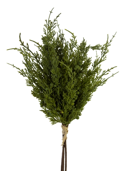 Picture of 22" CEDAR BERRY BUNDLE