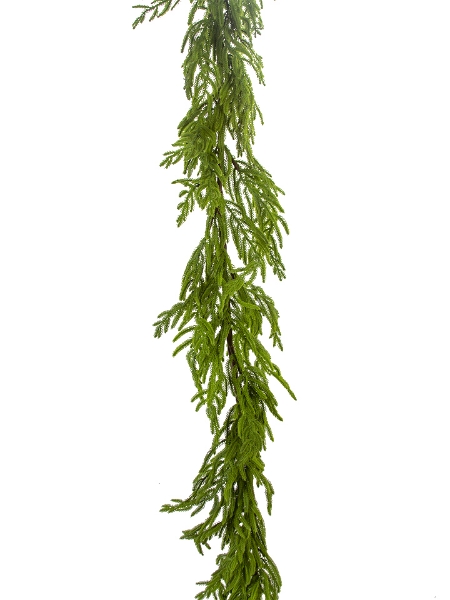 Picture of 6' NORFOLK PINE GARLAND