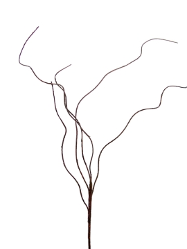 Picture of 37" CURLY WILLOW