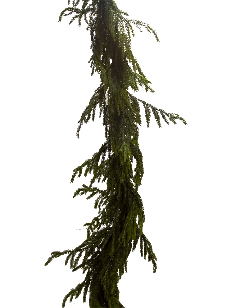 Picture of 6' FIR PINE GARLAND