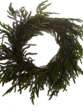 Picture of 24" LIGHTLY ICED FIR PINE WREATH