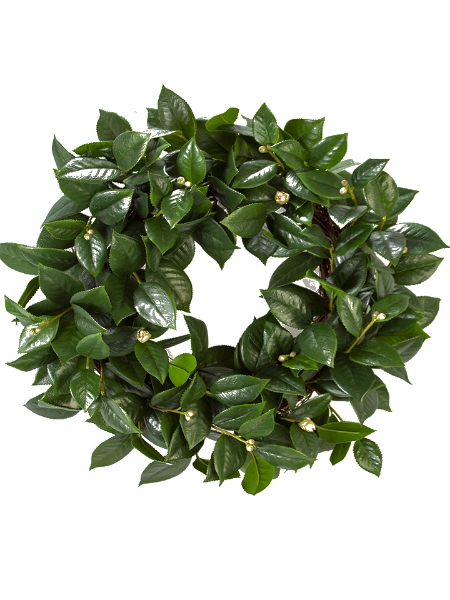 Picture of 26" CAMELIA LEAVES WREATH