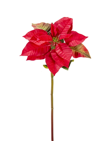 Picture of 26" POINSETTIA STEM