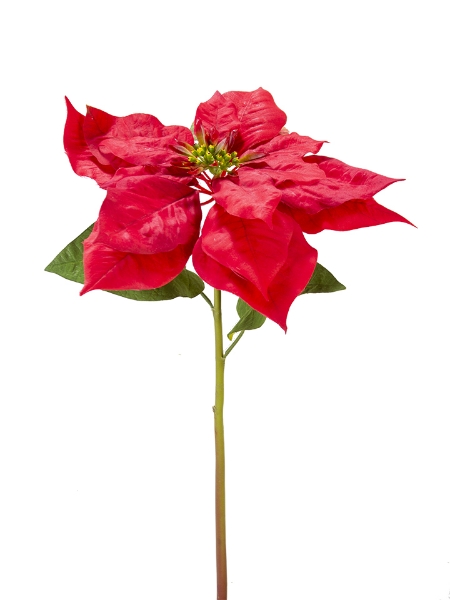 Picture of 28" POINSETTIA STEM