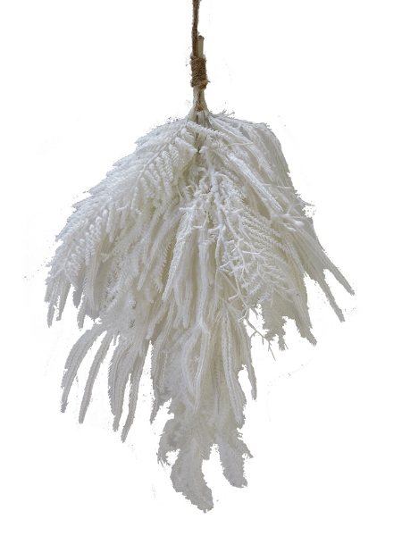 Picture of 26" MIXED PAMPAS TEAR DROP