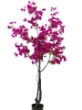 Picture of 73" BOUGAINVILLEA POTTED TREE