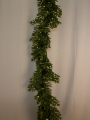 Picture of 6' LIGHTED SPRUCE GARLAND