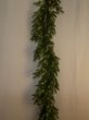 Picture of 6' ORIENTAL SPRUCE GARLAND