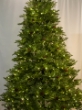 Picture of 7.5' LIGHTED SPRUCE TREE