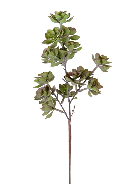 Picture of 27'' SUCCULENT STEM