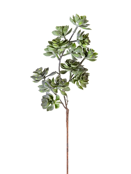 Picture of 27'' SUCCULENT STEM