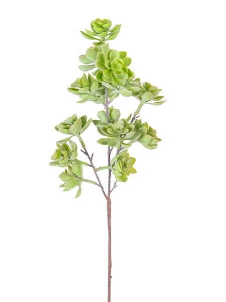 Picture of 27'' SUCCULENT STEM