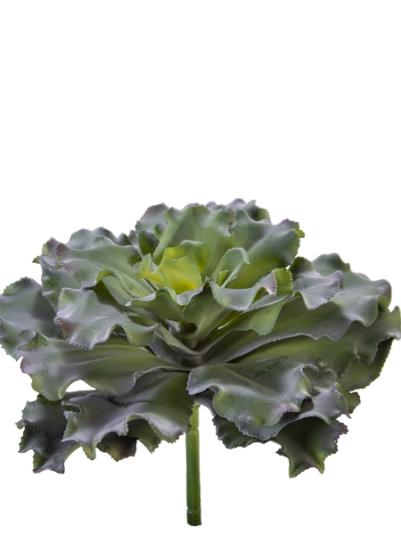 Picture of 10" CABBAGE SUCCULENT PICK