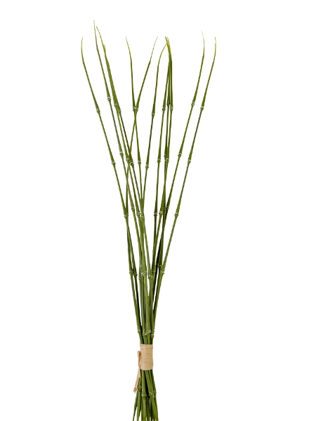 Picture of 22" BAMBOO BUNDLE