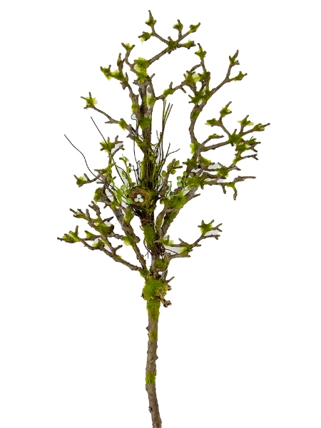 Picture of 25" MOSS WITHERED BRANCHES