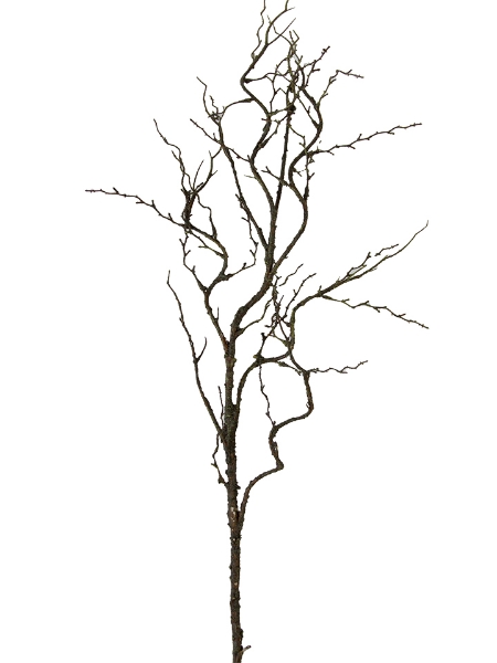 Picture of 36" TWIG BRANCH