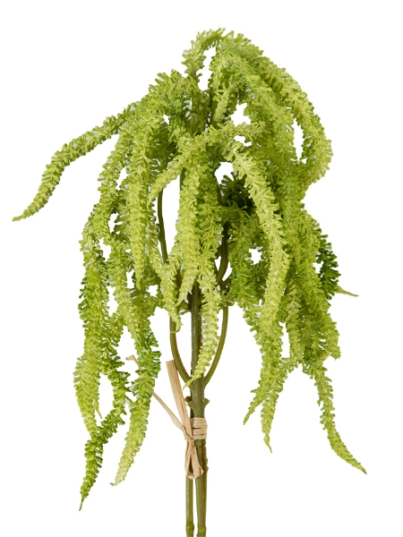 Picture of 12.5" AMARANTHUS BUNDLE