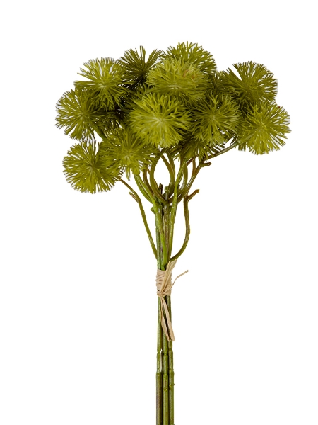 Picture of 13" ALLIUM  BUNDLE