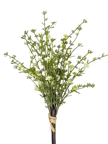 Picture of 20'' KALANCHOE BLOOMS BUNDLE