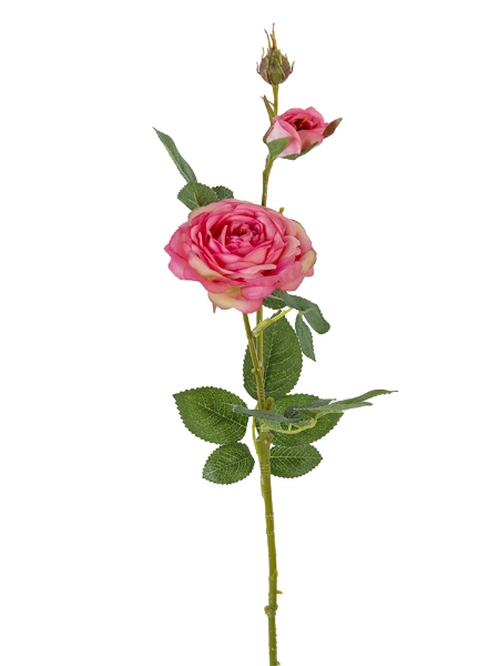 Picture of 24" ROSE SPRAY