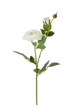 Picture of 24" OPEN ROSE SPRAY