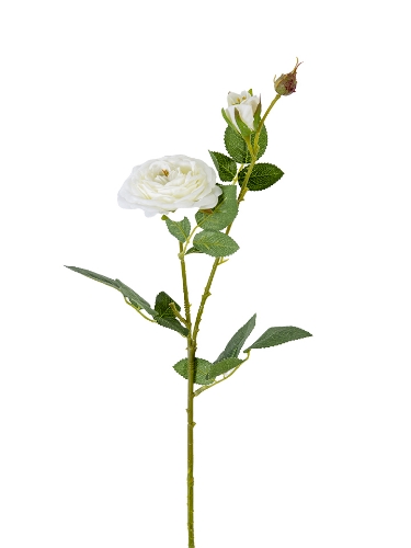 Picture of 24" OPEN ROSE SPRAY