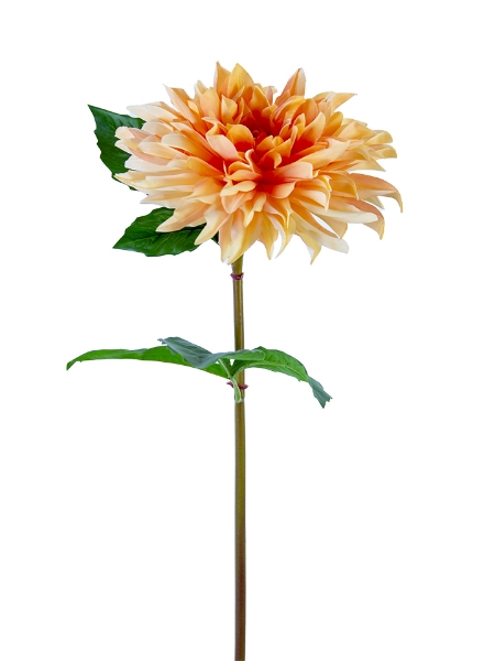 Picture of 24" DAHLIA STEM