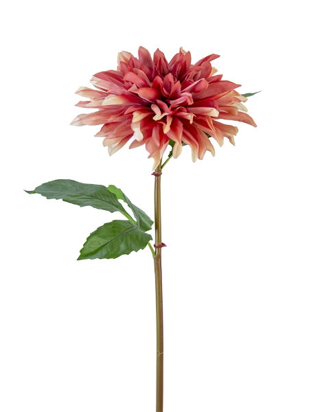 Picture of 24" DAHLIA STEM