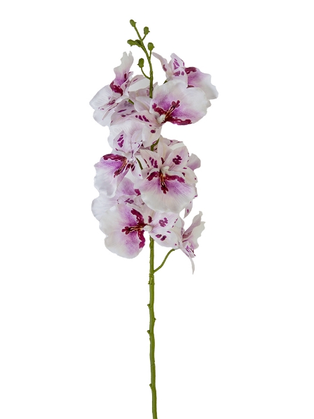 Picture of 28" PHALAENOPSIS SPRAY