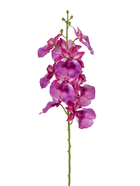 Picture of 28" PHALAENOPSIS SPRAY