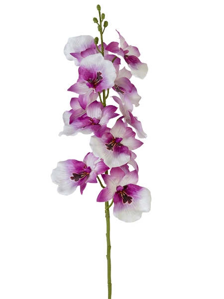 Picture of 28" PHALAENOPSIS SPRAY