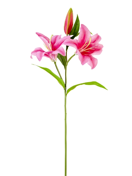 Picture of 30" STARGAZER LILY W/2F1B