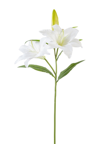 Picture of 30" STARGAZER LILY W/2F1B