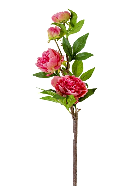 Picture of 36" PEONY SPRAY