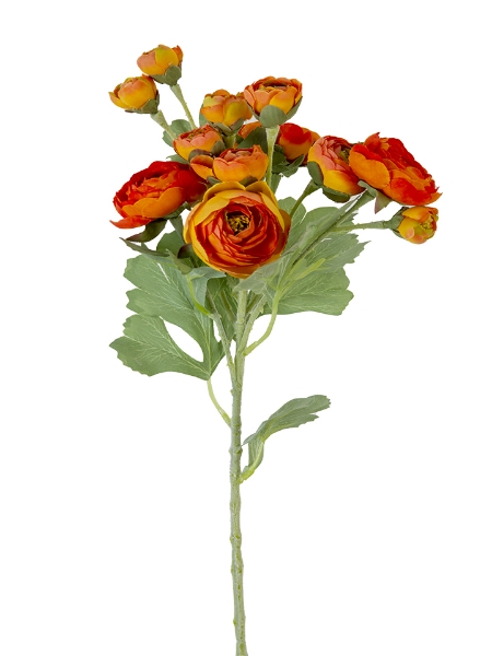 Picture of 21" RANUNCULUS SPRAY