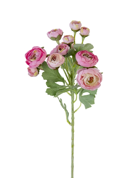 Picture of 21" RANUNCULUS SPRAY