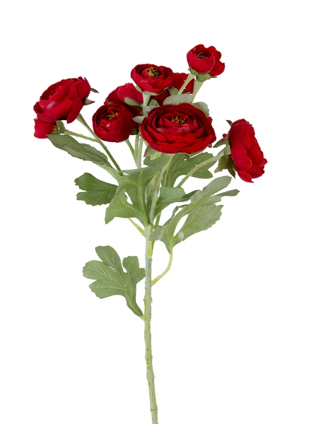 Picture of 21" RANUNCULUS SPRAY