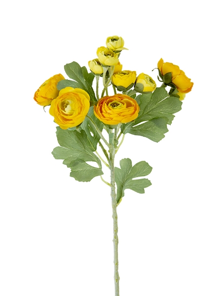 Picture of 21" RANUNCULUS SPRAY