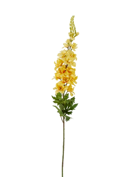 Picture of 37" FRENCH LARKSPUR